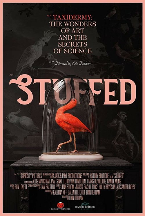 Смотреть фильм Stuffed (2019) онлайн в хорошем качестве HDRip