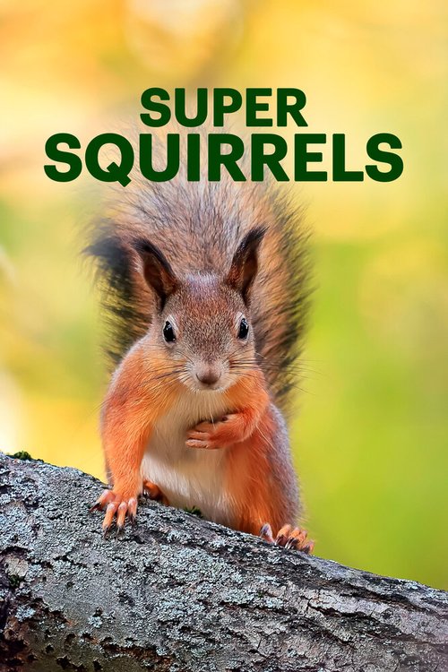 Супер белки / Super Squirrels