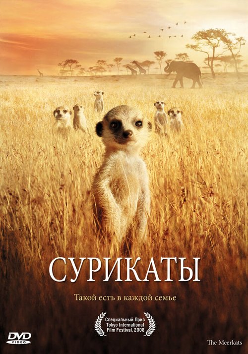 Смотреть фильм Сурикаты / The Meerkats (2007) онлайн в хорошем качестве HDRip