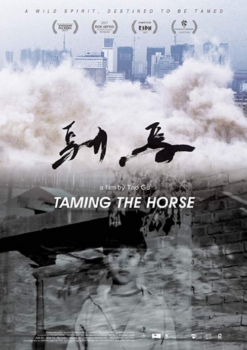 Смотреть фильм Taming the Horse (2017) онлайн в хорошем качестве HDRip