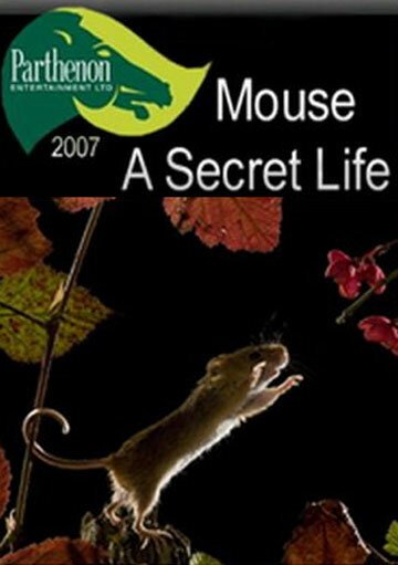Тайная жизнь мышей / Mouse: A Secret Life