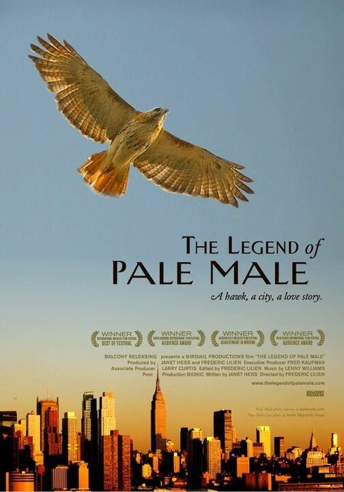 Смотреть фильм The Legend of Pale Male (2009) онлайн в хорошем качестве HDRip