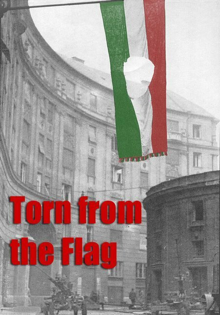 Смотреть фильм Torn from the Flag: A Film by Klaudia Kovacs (2007) онлайн в хорошем качестве HDRip