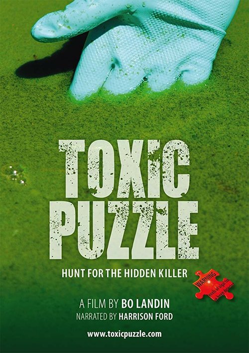Смотреть фильм Toxic Puzzle (2017) онлайн в хорошем качестве HDRip