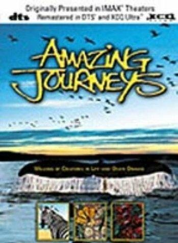 Смотреть фильм Удивительные путешествия / Amazing Journeys (1999) онлайн в хорошем качестве HDRip