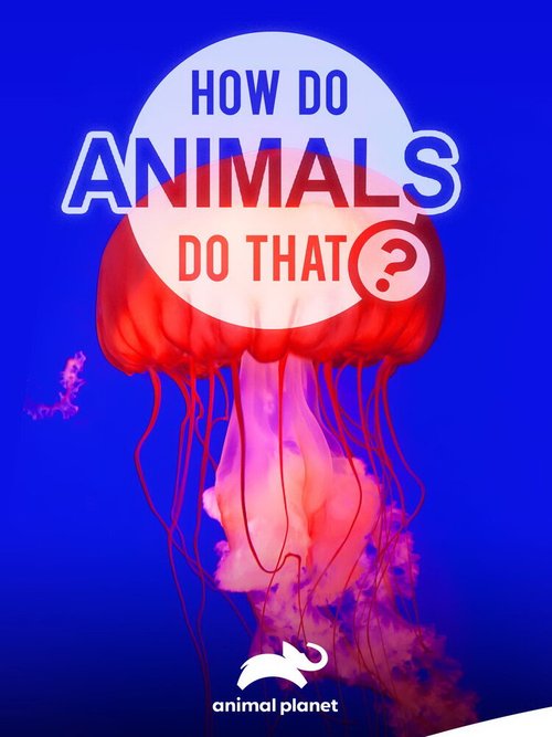 Смотреть фильм Удивительный мир животных / How do Animals do That (2019) онлайн в хорошем качестве HDRip