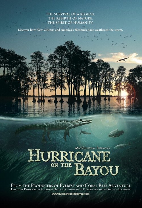 Смотреть фильм Ураган на Байу / Hurricane on the Bayou (2006) онлайн в хорошем качестве HDRip