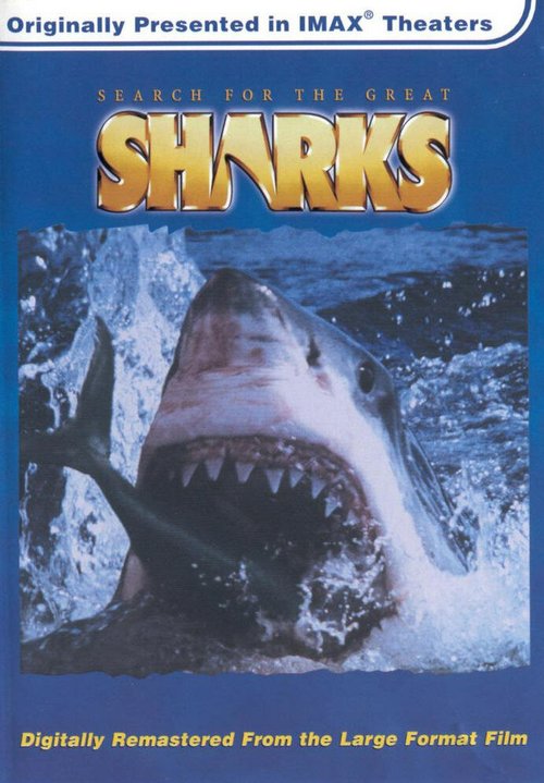 Смотреть фильм В поисках больших акул / Search for the Great Sharks (1995) онлайн в хорошем качестве HDRip