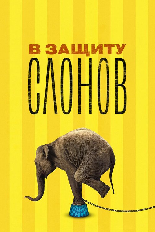 Смотреть фильм В защиту слонов / An Apology to Elephants (2013) онлайн в хорошем качестве HDRip