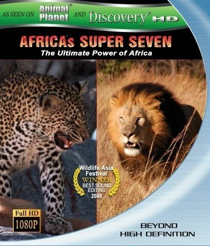 Смотреть фильм Великолепная семерка Африки / Africa's Super Seven (2005) онлайн в хорошем качестве HDRip