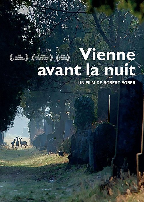 Смотреть фильм Vienne avant la nuit (2017) онлайн в хорошем качестве HDRip