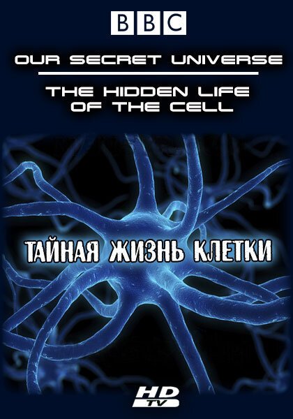Смотреть фильм Внутренняя вселенная: Тайная жизнь клетки / Our Secret Universe: The Hidden Life of the Cell (2012) онлайн в хорошем качестве HDRip