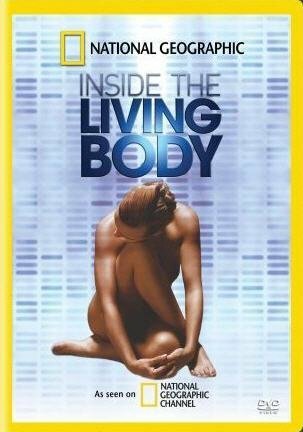 Смотреть фильм Внутри живого тела / Inside the Living Body (2007) онлайн в хорошем качестве HDRip