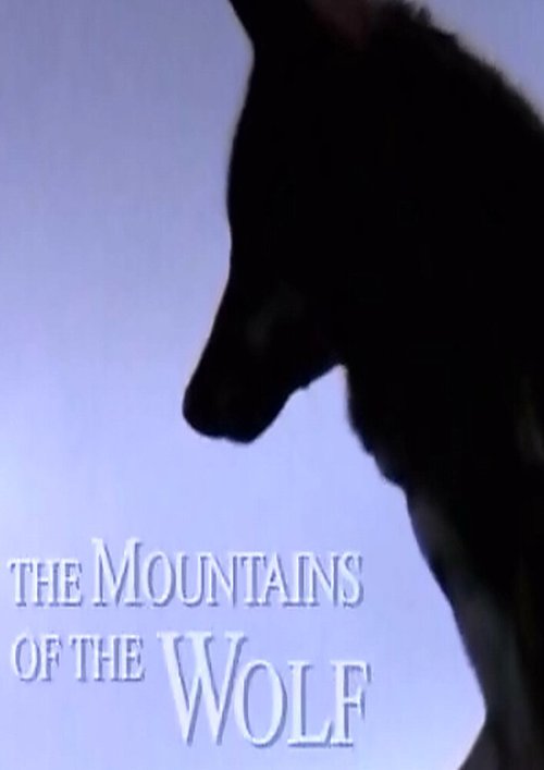 Смотреть фильм Волчьи горы / Las montañas del lobo (2003) онлайн в хорошем качестве HDRip