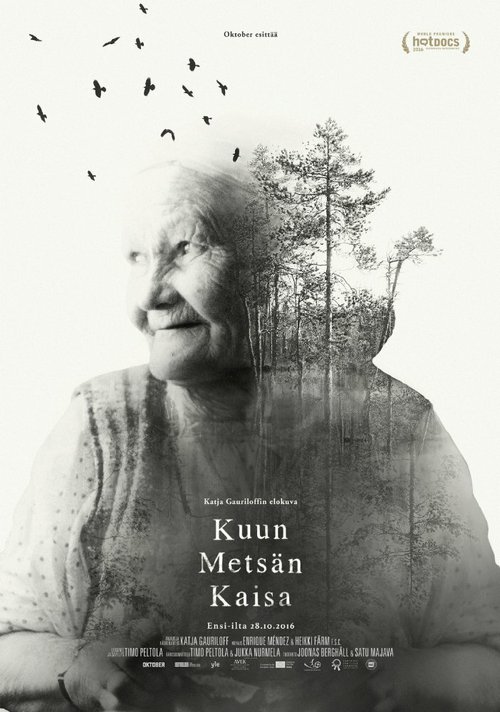 Смотреть фильм Волшебный лес Кайсы / Kuun metsän Kaisa (2016) онлайн в хорошем качестве CAMRip