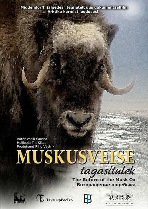 Смотреть фильм Возвращение овцебыка / Muskusveise tagasitulek (2008) онлайн в хорошем качестве HDRip