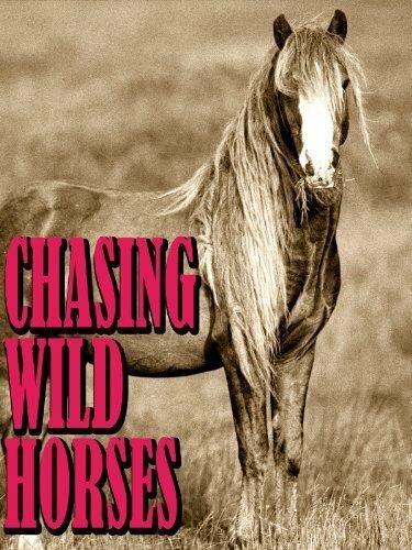Смотреть фильм Вслед за дикими лошадьми / Chasing Wild Horses (2008) онлайн в хорошем качестве HDRip