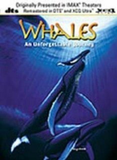 Смотреть фильм Whales: An Unforgettable Journey (1997) онлайн в хорошем качестве HDRip