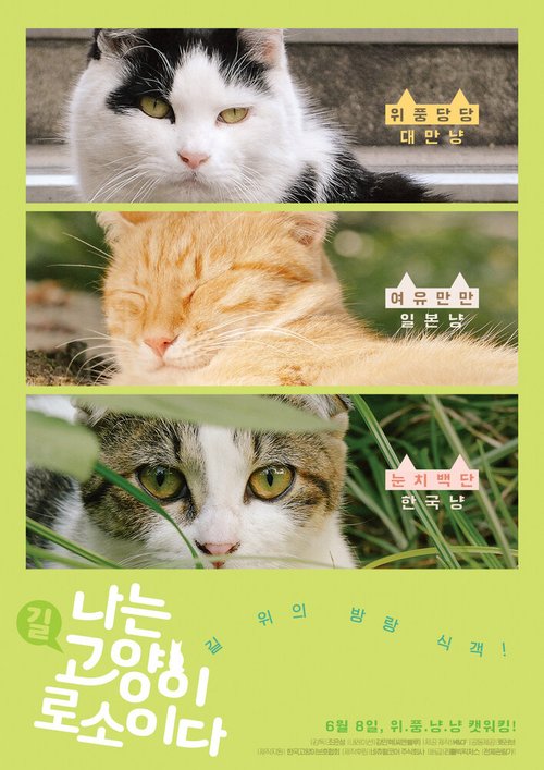 Смотреть фильм Я — кот / Naneun goyangirosoida (2017) онлайн в хорошем качестве HDRip