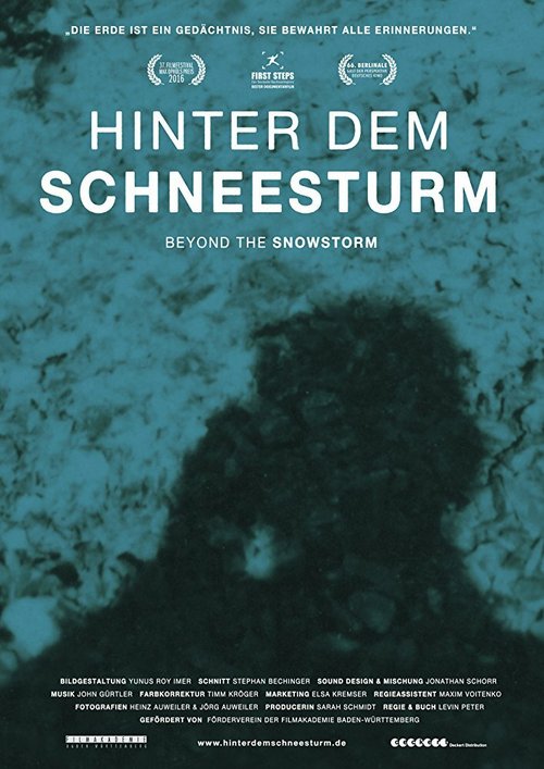 Смотреть фильм За снежной бурей / Hinter dem Schneesturm (2016) онлайн в хорошем качестве CAMRip
