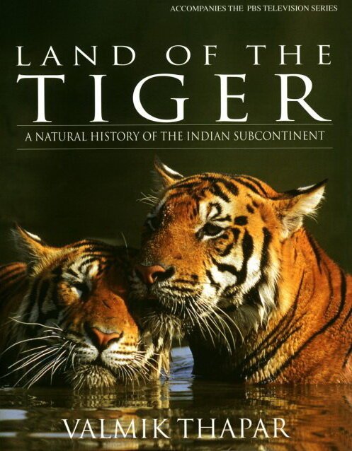 Смотреть фильм Земля тигров / Land of the Tiger (1985) онлайн в хорошем качестве SATRip