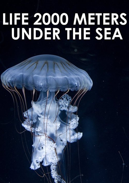 Жизнь на глубине 2000 метров / Life 2,000 Meters Under the Sea