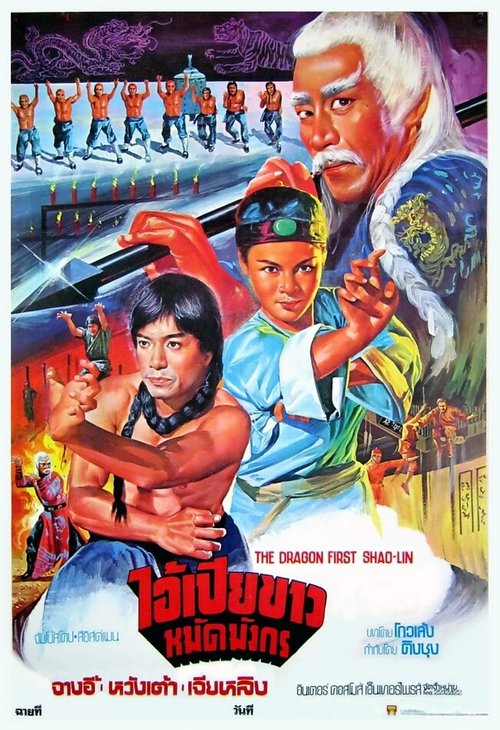 Смотреть фильм 10 братьев Шаолиня / Shi da di zi (1977) онлайн в хорошем качестве SATRip