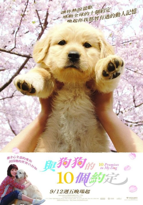 Смотреть фильм 10 обещаний моей собаке / Inu to watashi no 10 no yakusoku (2008) онлайн в хорошем качестве HDRip