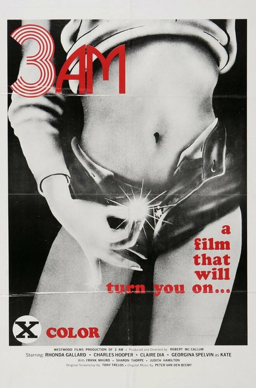 Смотреть фильм 3 часа ночи / 3 A.M. (1975) онлайн в хорошем качестве SATRip