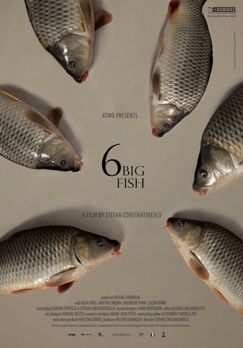 Смотреть фильм 6 stora fiskar (2013) онлайн 