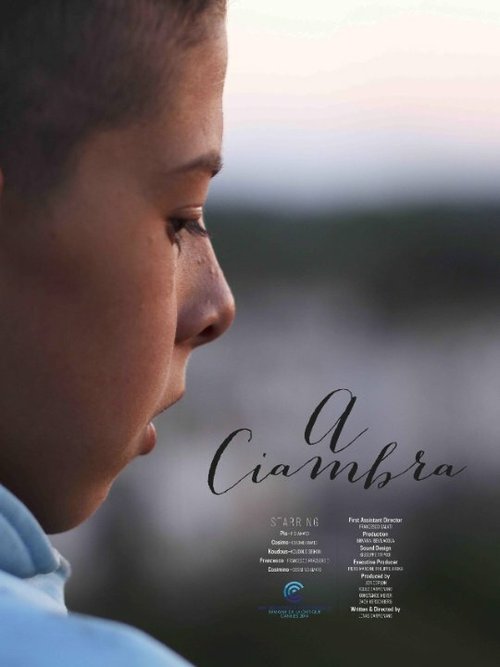 Смотреть фильм A Ciambra (2014) онлайн 