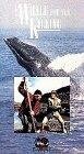Смотреть фильм A Whale for the Killing (1981) онлайн в хорошем качестве SATRip