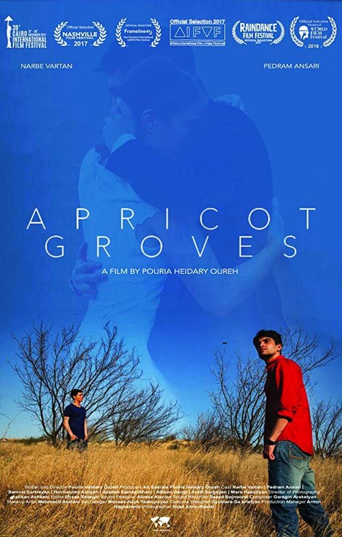 Смотреть фильм Абрикосовые рощи / Apricot Groves (2016) онлайн в хорошем качестве CAMRip