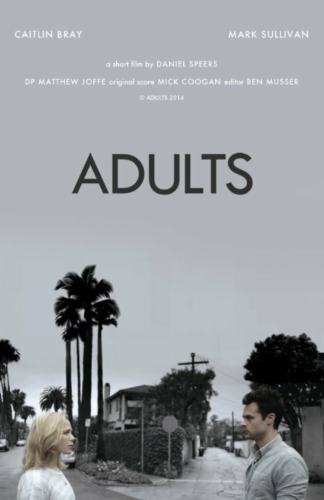 Смотреть фильм Adults (2014) онлайн 
