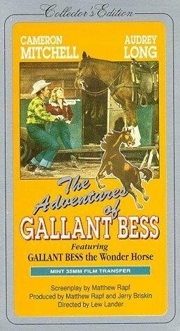 Смотреть фильм Adventures of Gallant Bess (1948) онлайн в хорошем качестве SATRip