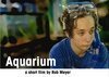 Аквариум / Aquarium