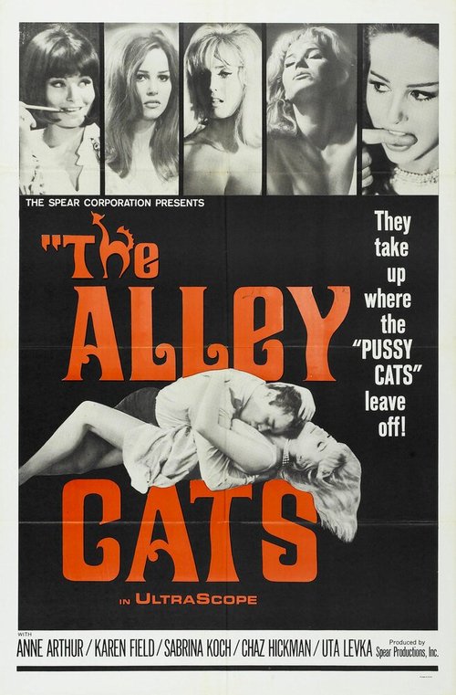 Аллея кошек / The Alley Cats