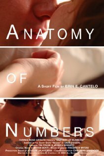 Смотреть фильм Anatomy of Numbers (2008) онлайн 