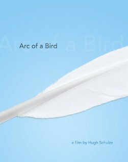 Смотреть фильм Arc of a Bird (2008) онлайн 