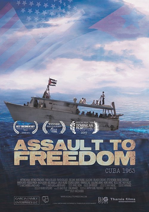 Смотреть фильм Assault to Freedom (2016) онлайн в хорошем качестве CAMRip