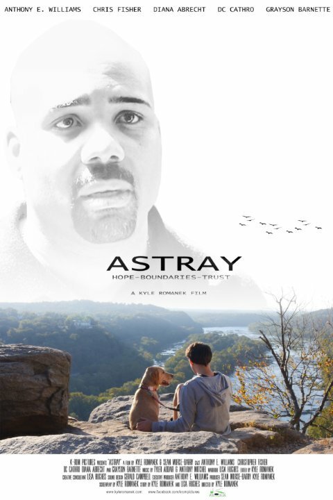 Смотреть фильм Astray (2014) онлайн в хорошем качестве HDRip