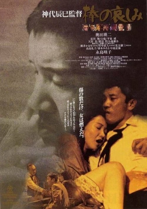 Смотреть фильм Bô no kanashimi (1994) онлайн в хорошем качестве HDRip