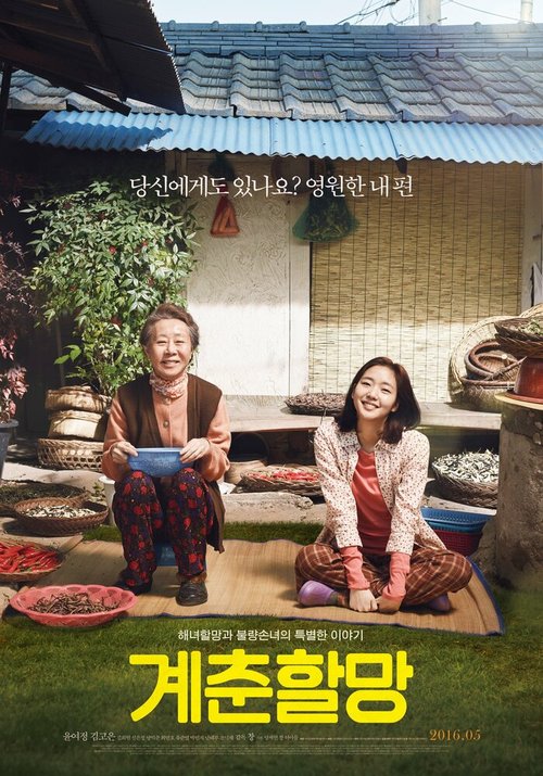 Смотреть фильм Бабушка Ке-чхун / Gyechunhalmang (2016) онлайн в хорошем качестве CAMRip