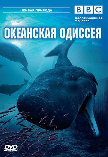 Смотреть фильм BBC: Океанская одиссея / Ocean Odyssey (2006) онлайн в хорошем качестве HDRip