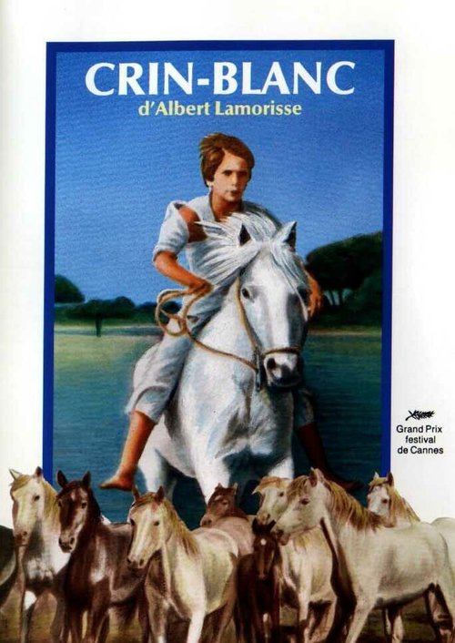 Смотреть фильм Белая грива: Дикая лошадь / Crin blanc: Le cheval sauvage (1953) онлайн в хорошем качестве SATRip