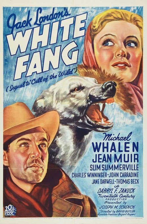 Смотреть фильм Белый клык / White Fang (1936) онлайн в хорошем качестве SATRip