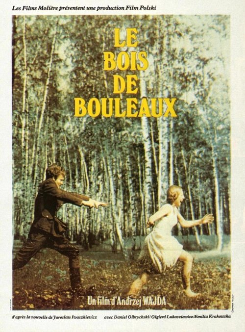 Смотреть фильм Березняк / Brzezina (1970) онлайн в хорошем качестве SATRip