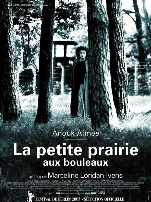 Березовый луг / La petite prairie aux bouleaux