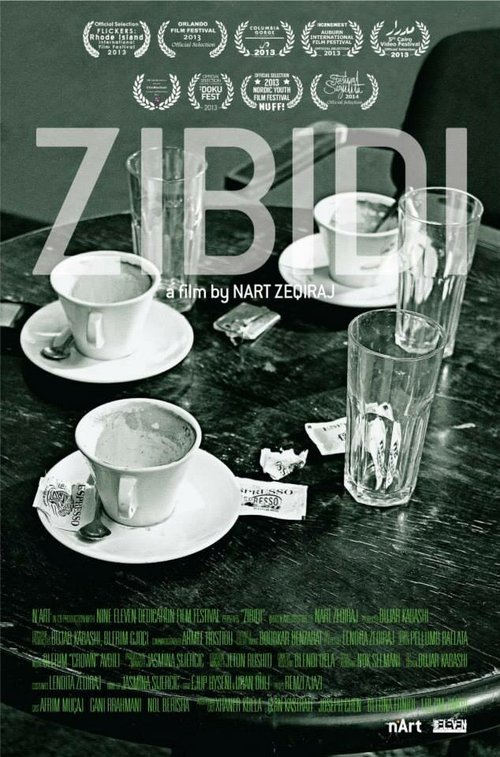 Смотреть фильм Бесполезный / Zibidi (2013) онлайн 