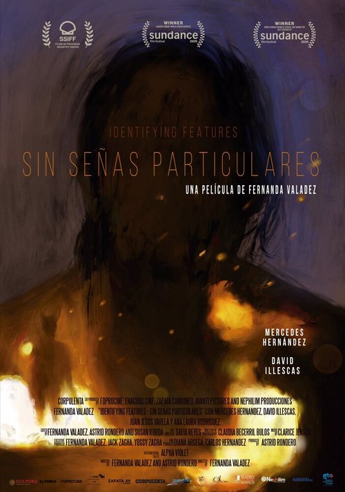 Смотреть фильм Без особых примет / Sin señas particulares (2020) онлайн в хорошем качестве HDRip